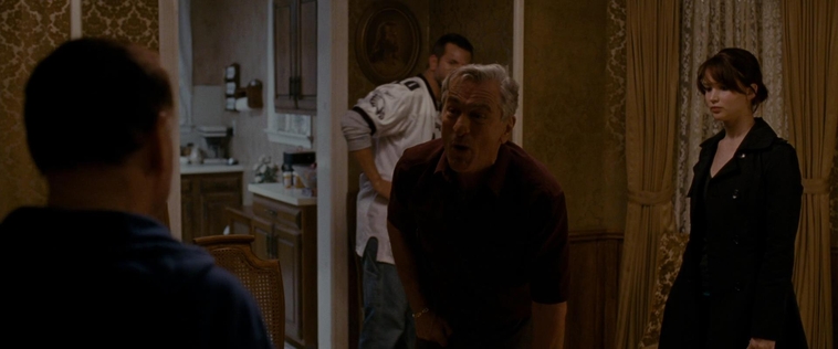 The_Silver_Linings_Playbook_CAPTURES2_2857629.jpg