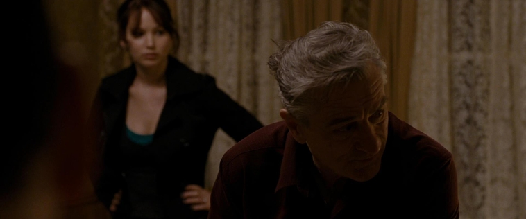 The_Silver_Linings_Playbook_CAPTURES2_2861129.jpg