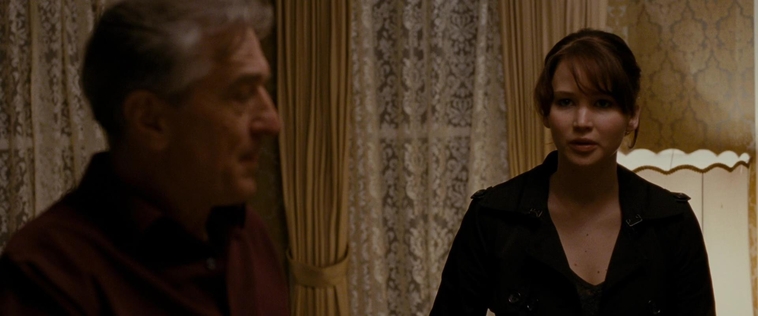 The_Silver_Linings_Playbook_CAPTURES2_2861329.jpg