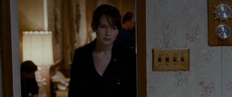 The_Silver_Linings_Playbook_CAPTURES2_2863329.jpg