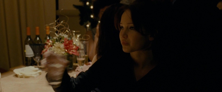 The_Silver_Linings_Playbook_CAPTURES2_2874129.jpg