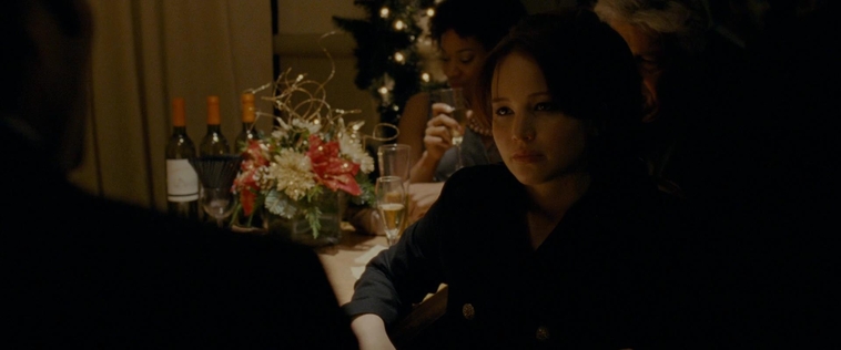 The_Silver_Linings_Playbook_CAPTURES2_2875229.jpg