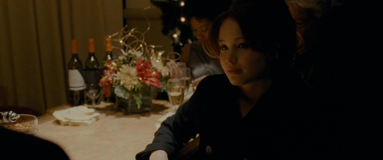 The_Silver_Linings_Playbook_CAPTURES2_2875429.jpg