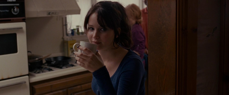 The_Silver_Linings_Playbook_CAPTURES2_2898029.jpg