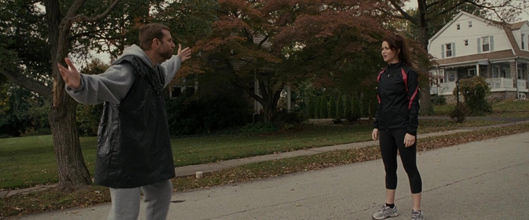 The_Silver_Linings_Playbook_CAPTURES_2821829.jpg