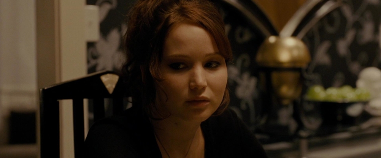 The_Silver_Linings_Playbook_CAPTURES_285929.jpg