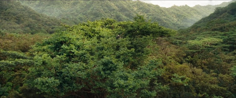 cf-finaltrailer-0006.jpg
