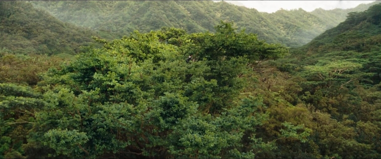 cf-finaltrailer-0010.jpg