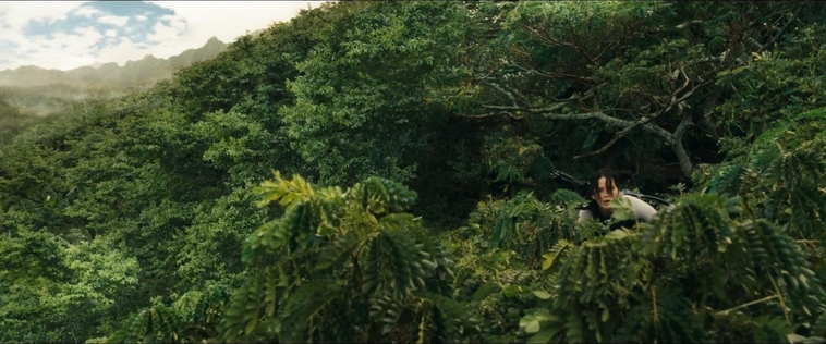 cf-finaltrailer-0011.jpg