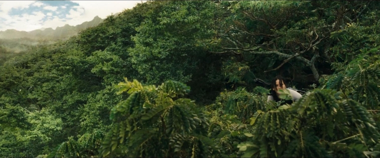 cf-finaltrailer-0013.jpg