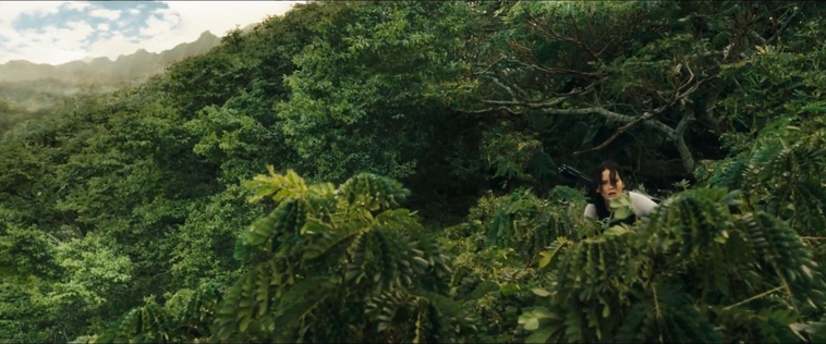 cf-finaltrailer-0015.jpg