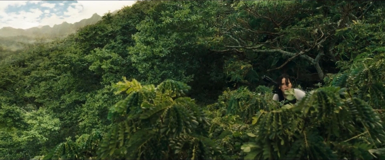 cf-finaltrailer-0016.jpg