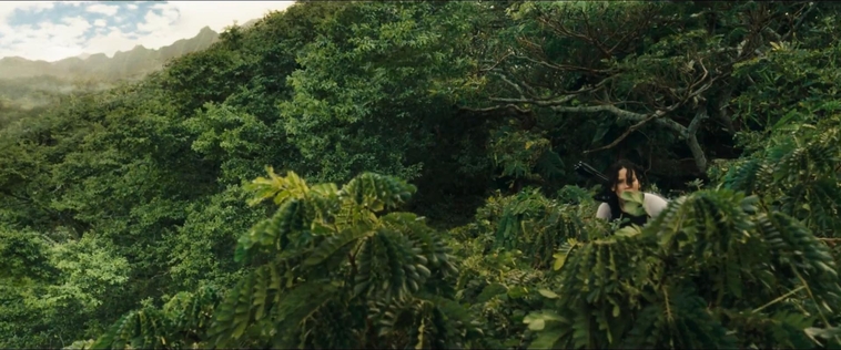 cf-finaltrailer-0017.jpg