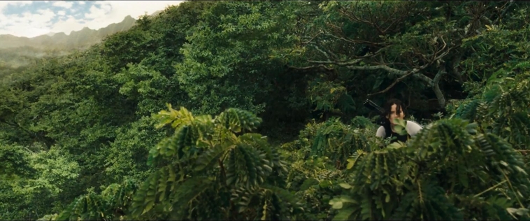 cf-finaltrailer-0018.jpg