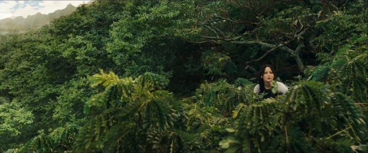 cf-finaltrailer-0028.jpg