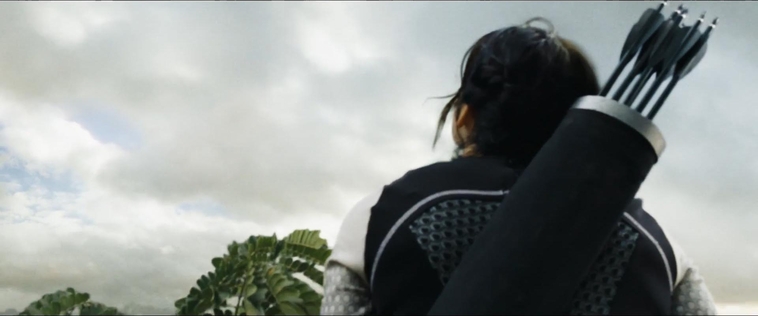 cf-finaltrailer-0089.jpg