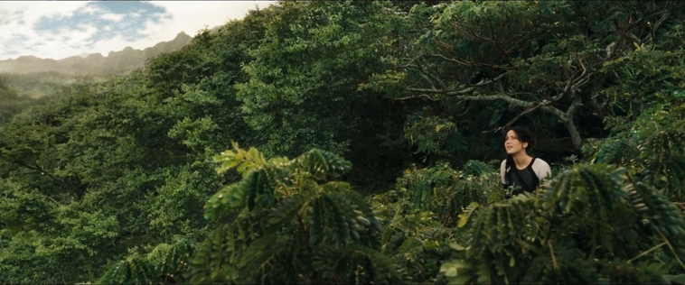 cf-finaltrailer-0102.jpg