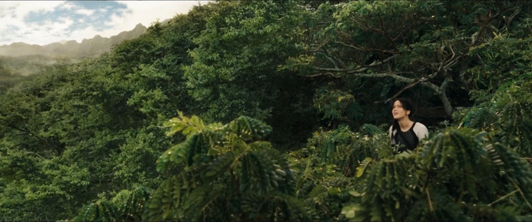 cf-finaltrailer-0104.jpg