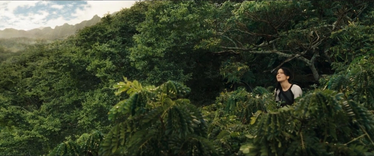 cf-finaltrailer-0108.jpg