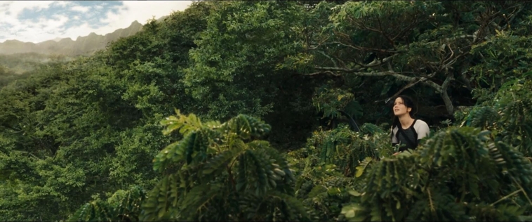 cf-finaltrailer-0109.jpg
