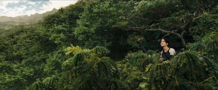 cf-finaltrailer-0111.jpg