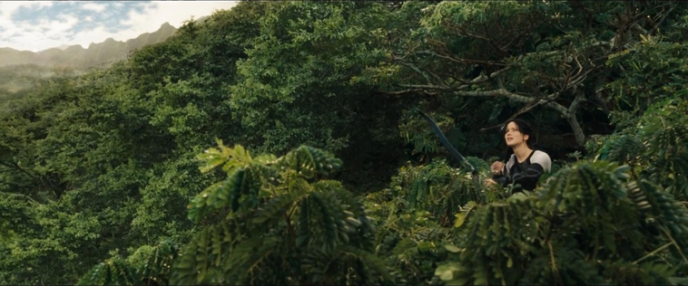 cf-finaltrailer-0114.jpg