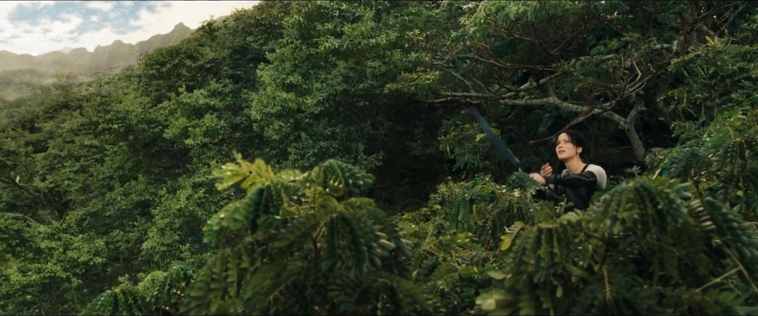 cf-finaltrailer-0116.jpg