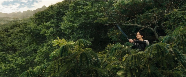 cf-finaltrailer-0117.jpg