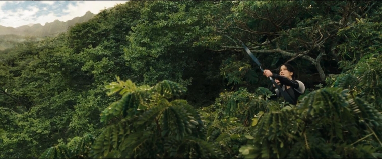 cf-finaltrailer-0119.jpg