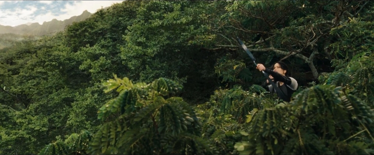 cf-finaltrailer-0120.jpg