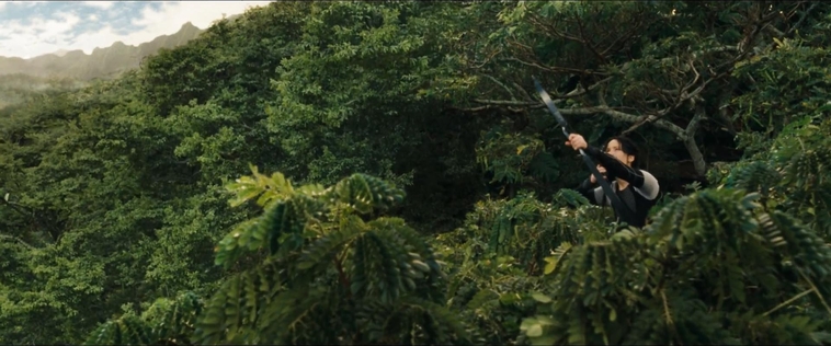 cf-finaltrailer-0121.jpg
