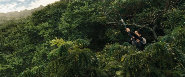 cf-finaltrailer-0122.jpg