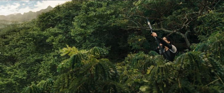 cf-finaltrailer-0123.jpg