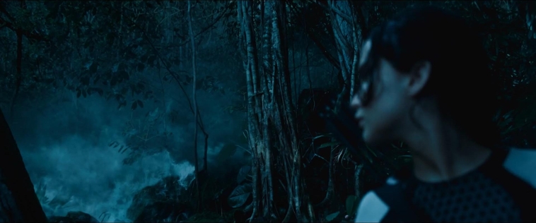 cf-finaltrailer-0397.jpg