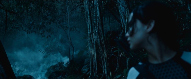 cf-finaltrailer-0399.jpg