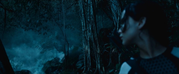 cf-finaltrailer-0401.jpg
