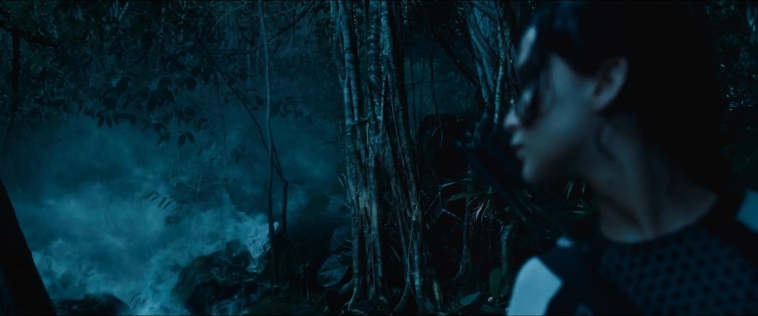 cf-finaltrailer-0405.jpg