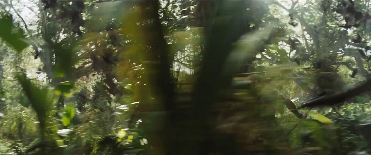cf-finaltrailer-0442.jpg