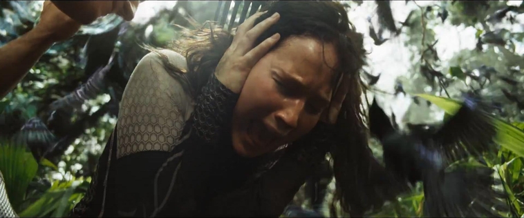 cf-finaltrailer-0465.jpg