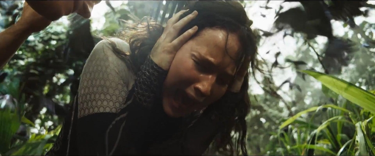 cf-finaltrailer-0471.jpg