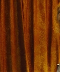 Filename=American_Hustle_2013_28297129.jpg
Filesize=163KiB
Dimensions=1920x800
Date added=Apr 03, 2014 American_Hustle_2013_28297129.jpg
