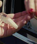 Filename=American_Hustle_2013_28302629.jpg
Filesize=122KiB
Dimensions=1920x800
Date added=Apr 03, 2014 American_Hustle_2013_28302629.jpg