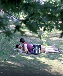 Filename=August_20_-_Jennifer_Lawrence___Nicholas_Hoult_at_Park_Lafontaine_in_Montreal_283929.jpg
Filesize=5284KiB
Dimensions=3620x2403
Date added=Nov 06, 2013 August_20_-_Jennifer_Lawrence___Nicholas_Hoult_at_Park_Lafontaine_in_Montreal_283929.jpg