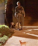 Filename=December_12_-_Arriving_at_Gabe_Polsky_s_home_in_Beverly_Hills_283229.jpg
Filesize=6608KiB
Dimensions=3456x5184
Date added=Dec 19, 2014 December_12_-_Arriving_at_Gabe_Polsky_s_home_in_Beverly_Hills_283229.jpg