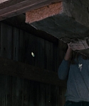 House_at_the_End_of_the_Street__28129929.jpg