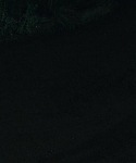 House_at_the_End_of_the_Street__28135929.jpg