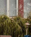 House_at_the_End_of_the_Street__2814129.jpg