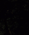 Filename=House_at_the_End_of_the_Street__2834829.jpg
Filesize=49KiB
Dimensions=1920x800
Date added=Feb 07, 2014 House_at_the_End_of_the_Street__2834829.jpg