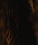 House_at_the_End_of_the_Street__2849029.jpg