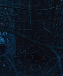 House_at_the_End_of_the_Street__287929.jpg